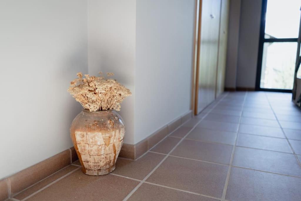 Casa Llop A Pauels, Vall Fosca Pauls de Flamisells 外观 照片